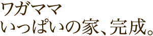 ワガママいっぱいの家、完成。